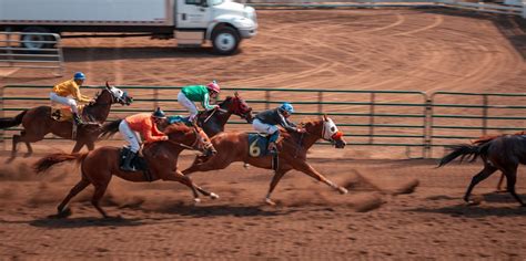 virtual racing results from sprintvalley|Sprintvalley Racing Cards Today .